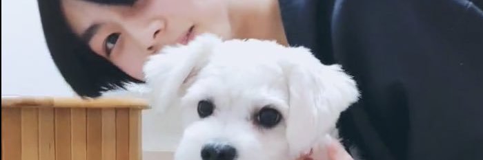 B° ʷ_ᵒ_ᵒ_ʸ_ᵃ : 밀 banner
