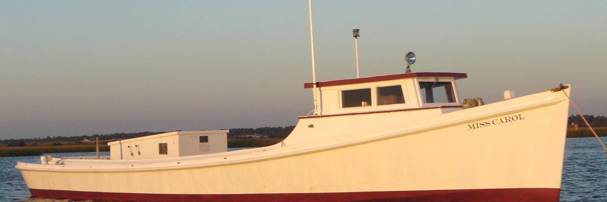 debbie122852's profile banner image