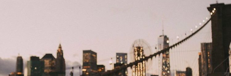 polyRodall's profile banner image