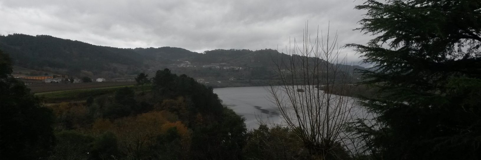 David Fernández banner