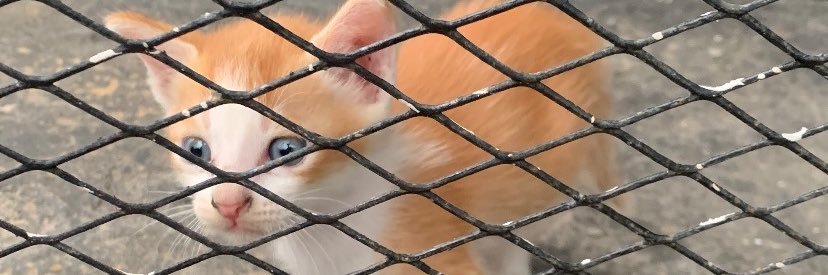 ANOTHER SP4CE banner