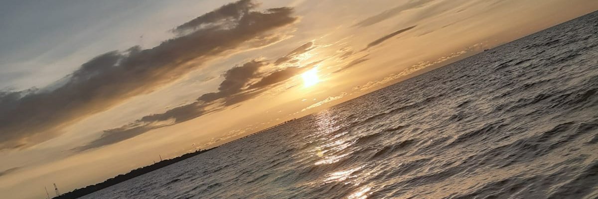 paugomezc04's profile banner image