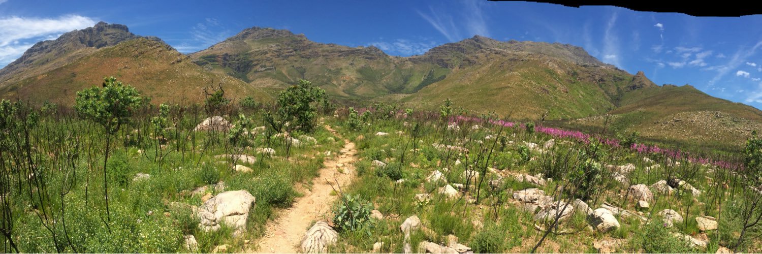 Colston Veater Jnr banner