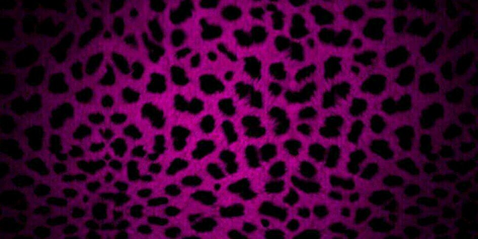 Karijym's profile banner image