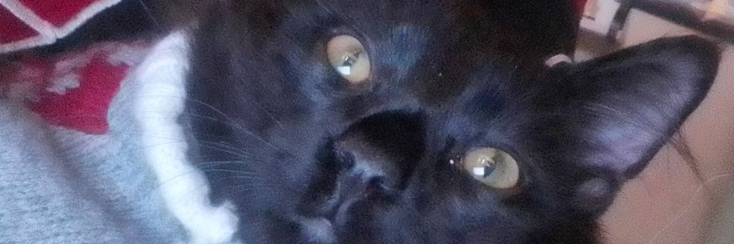 chqbn242's profile banner image