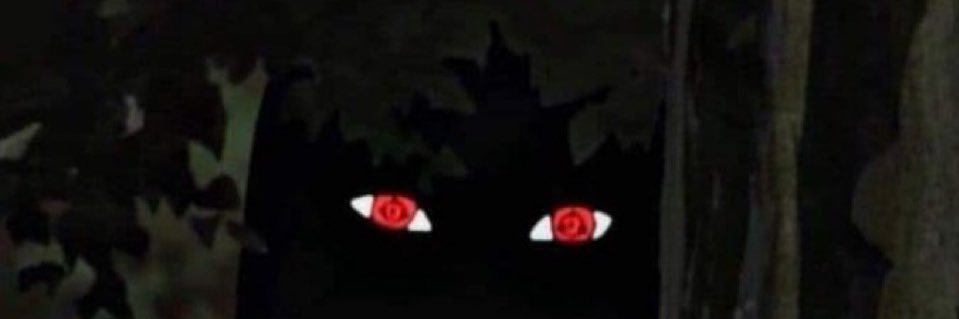 da_roy261's profile banner image