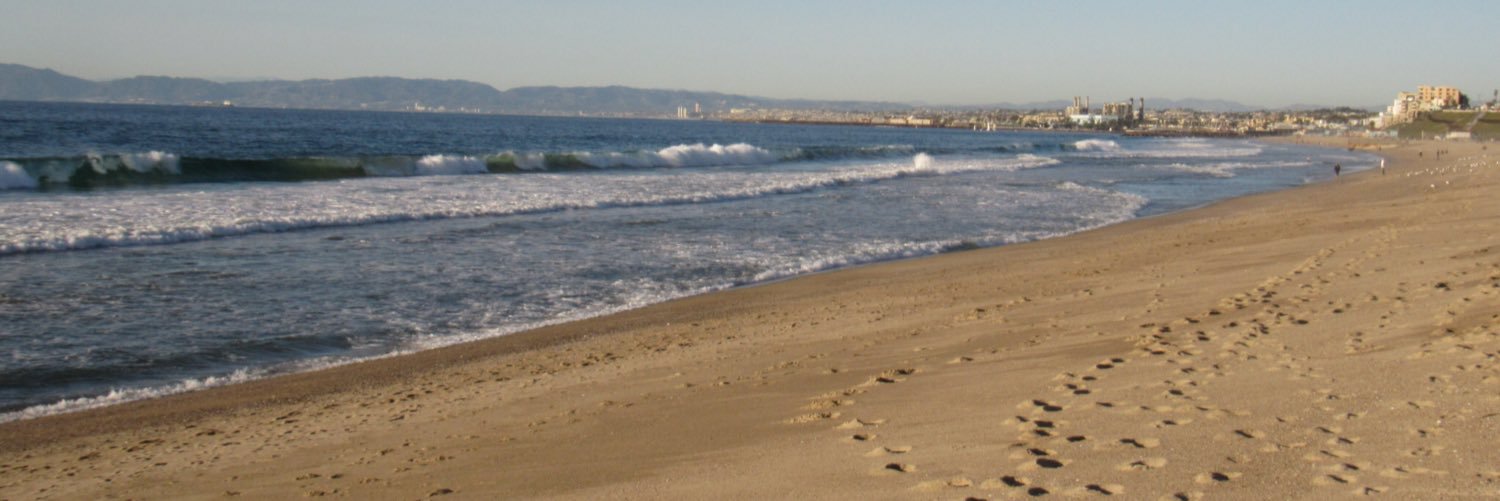 Dr. Nehal Elramly banner