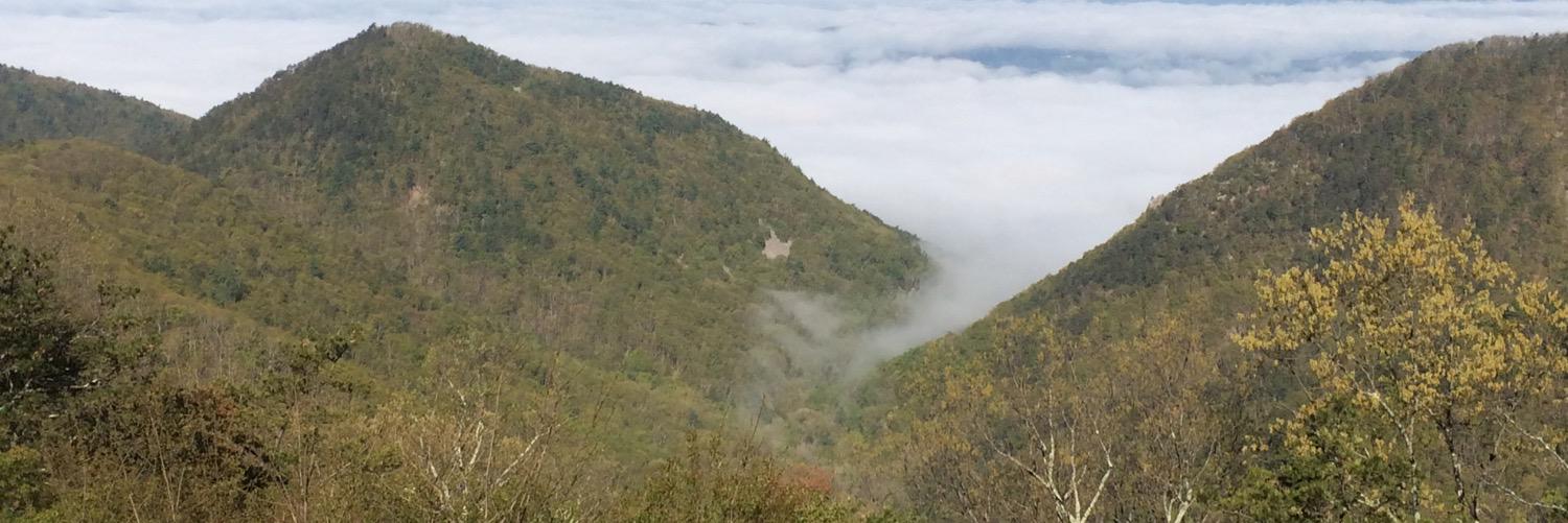 danecarter42's profile banner image