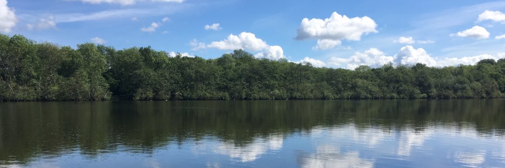 Stephen Holland banner