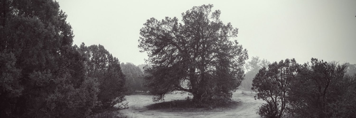 olde_fortran's profile banner image