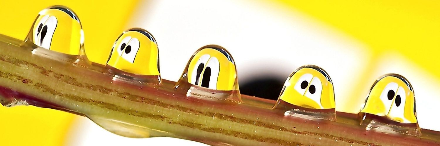 cabigio's profile banner image