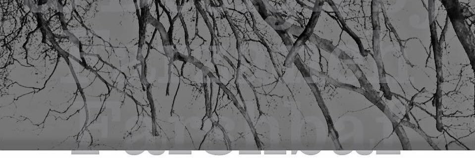 FaninFa's profile banner image