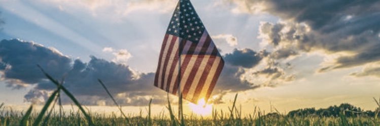 cindythomisee's profile banner image