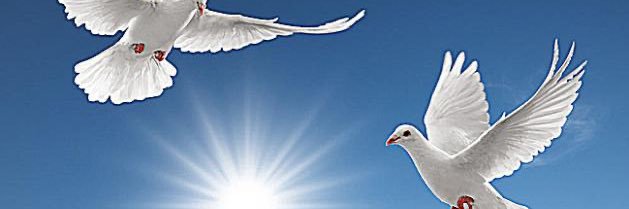 jbar_sa's profile banner image