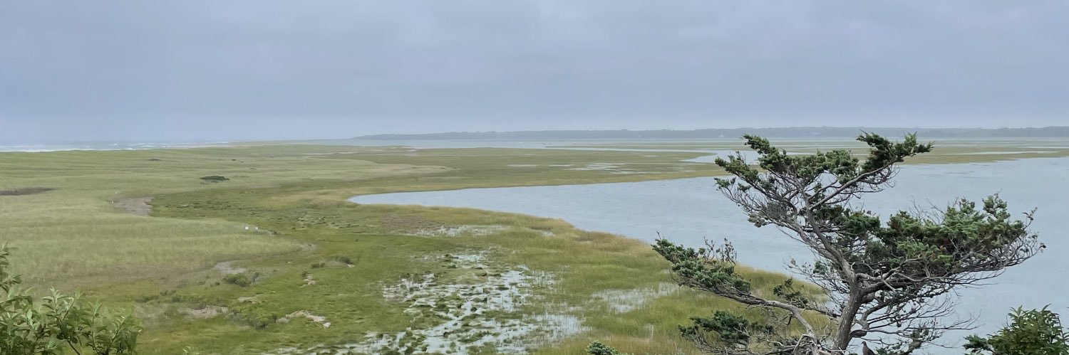 Dr. Intissar 🇦🇪 banner