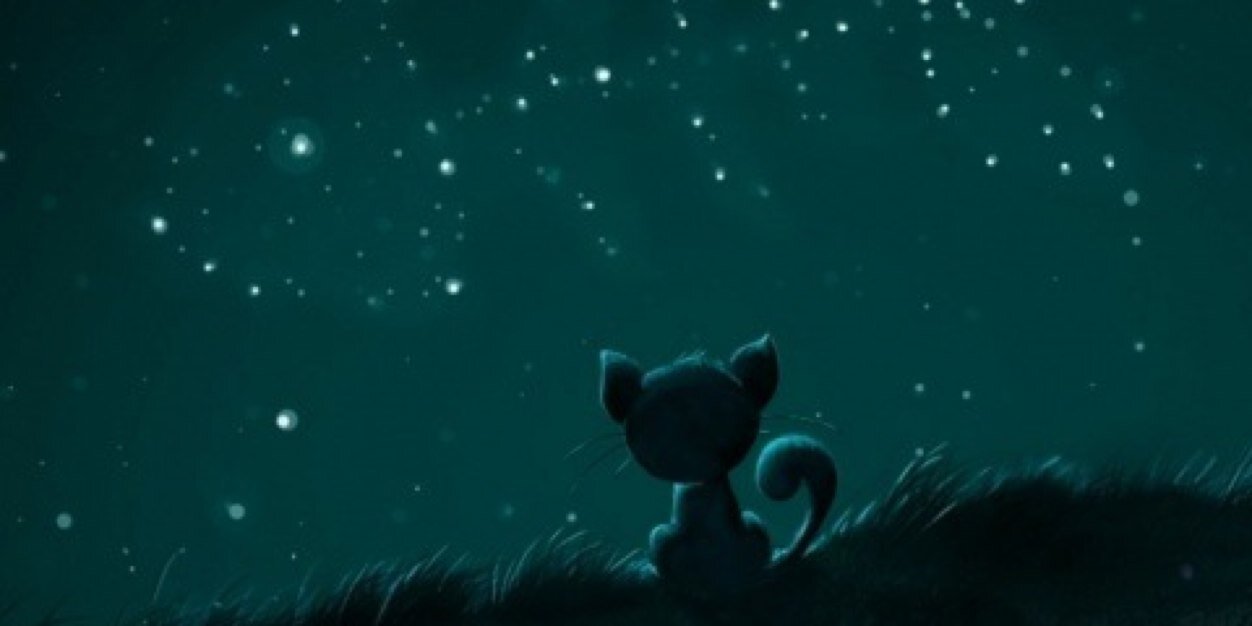 asooma_2's profile banner image