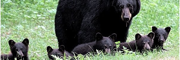 OU8123165's profile banner image