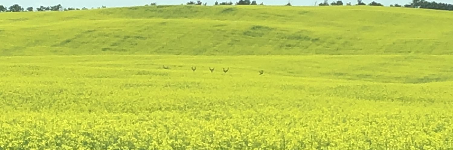 Barns_27's profile banner image