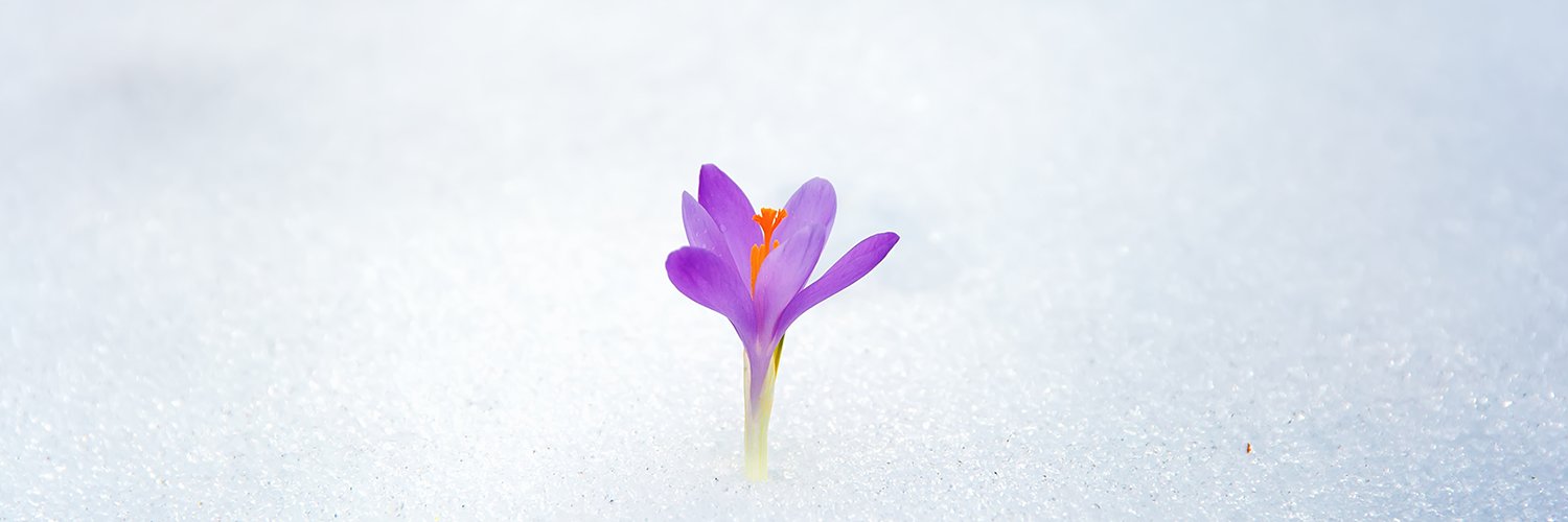 Confagriliguria's profile banner image
