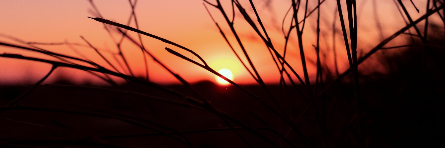 MimiBBaker's profile banner image