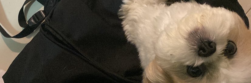 a_anagabis's profile banner image