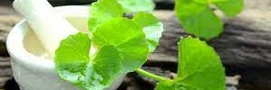 gowdrmanjunatha's profile banner image