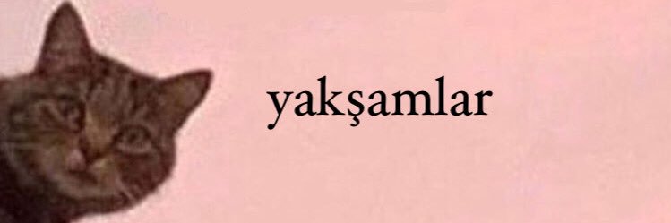 lilith_dora's profile banner image