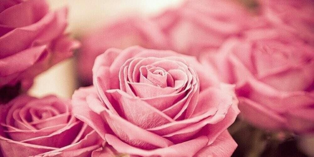 سعادتي 🌷 banner