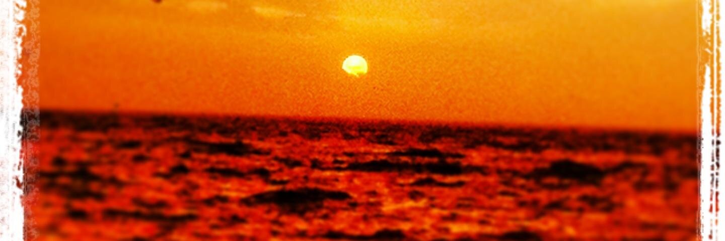 ferdakervan's profile banner image