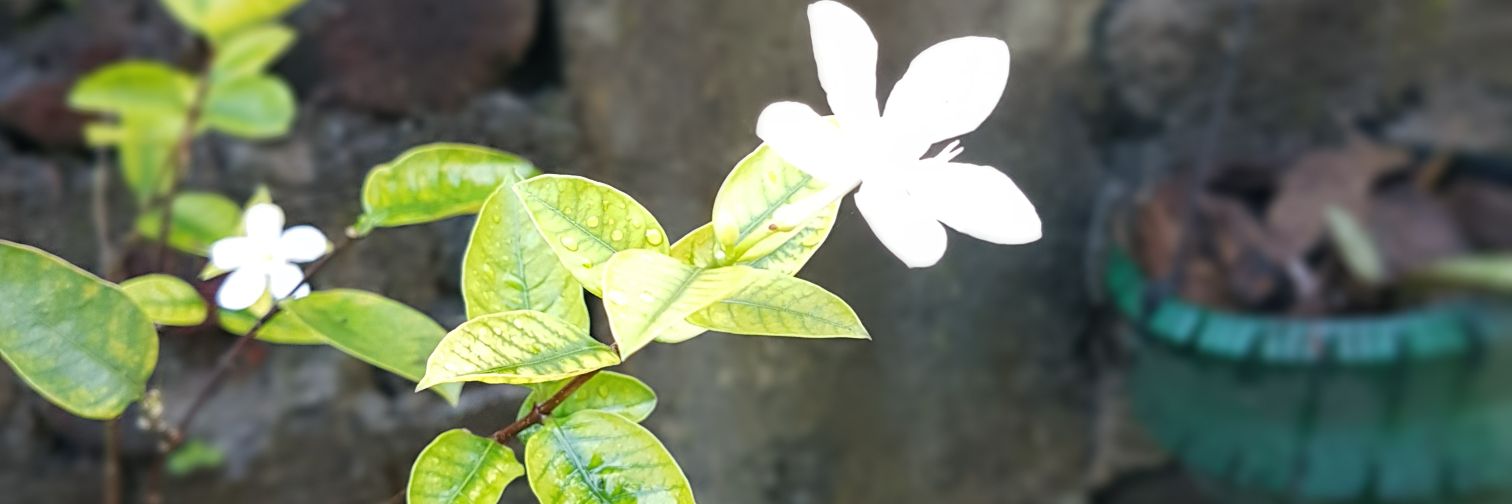 mel14353's profile banner image