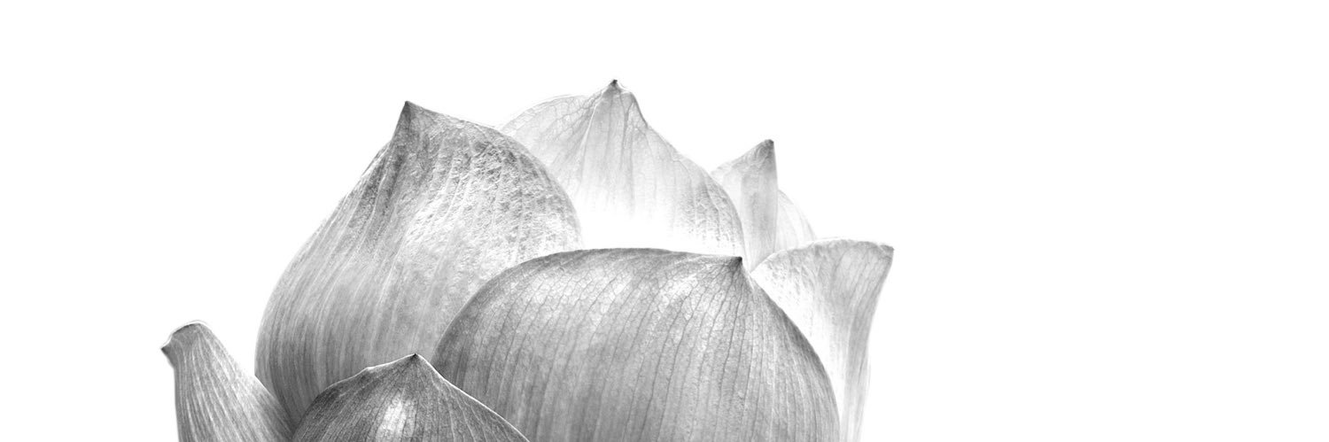Jyz_B8's profile banner image
