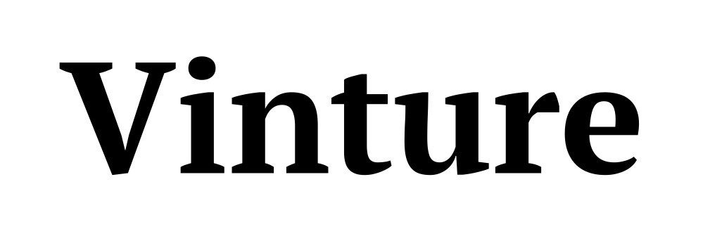 Vinture's banner