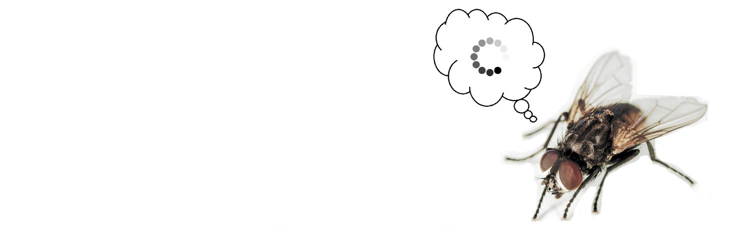Idea_Enjoyer's profile banner image