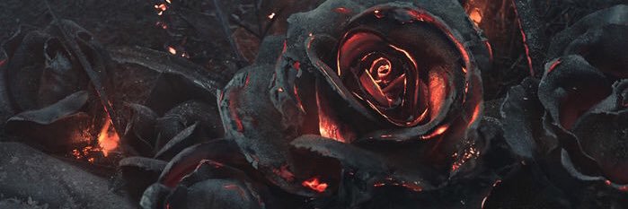Zaluschh's profile banner image