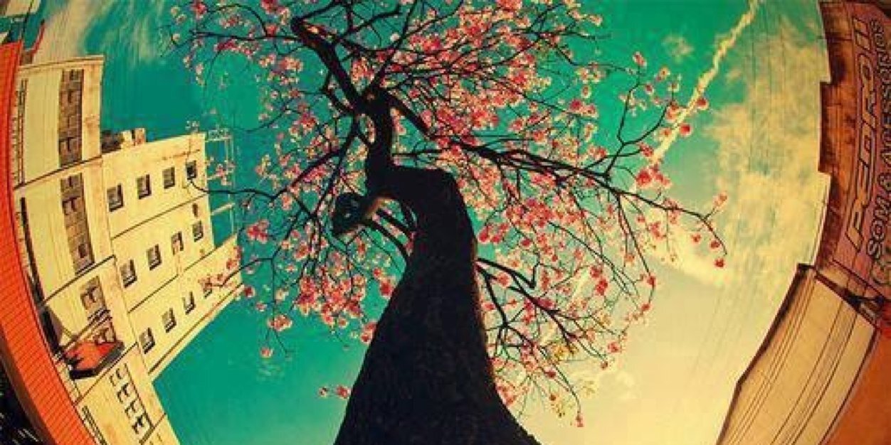 selaydin's profile banner image