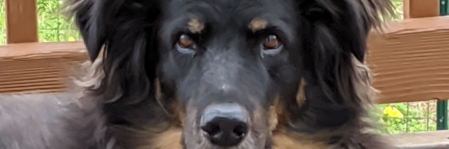 arnnamarie's profile banner image
