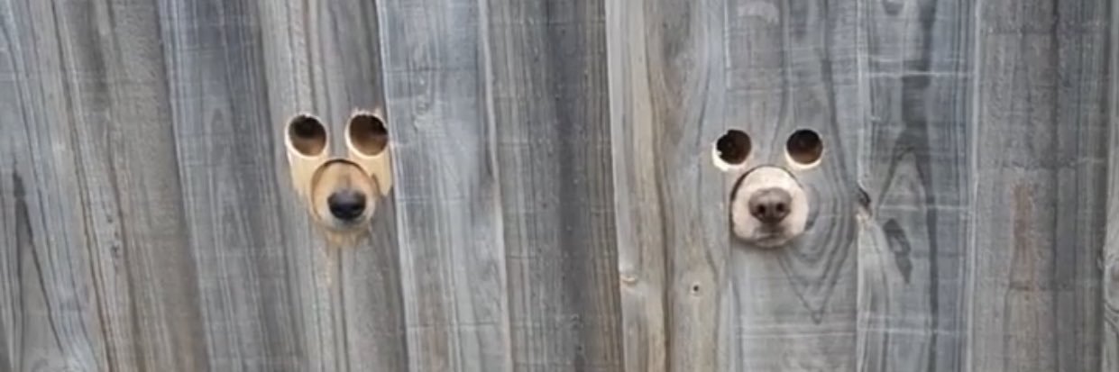 ChickenButtGS's profile banner image