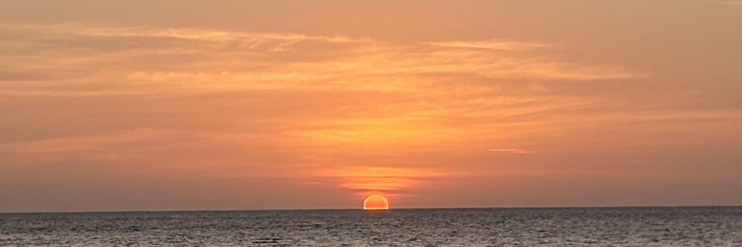 r banner