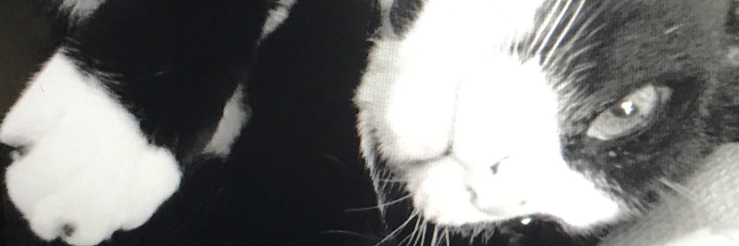 chi____ren's profile banner image