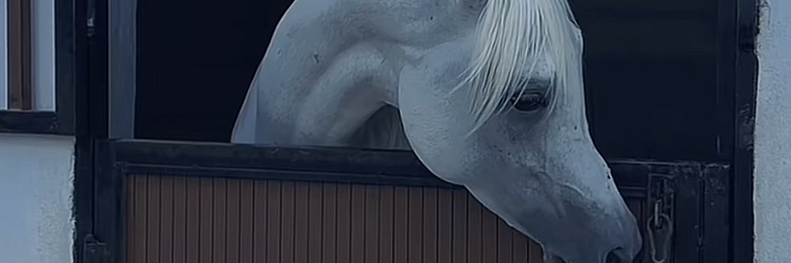 ttmm44's profile banner image