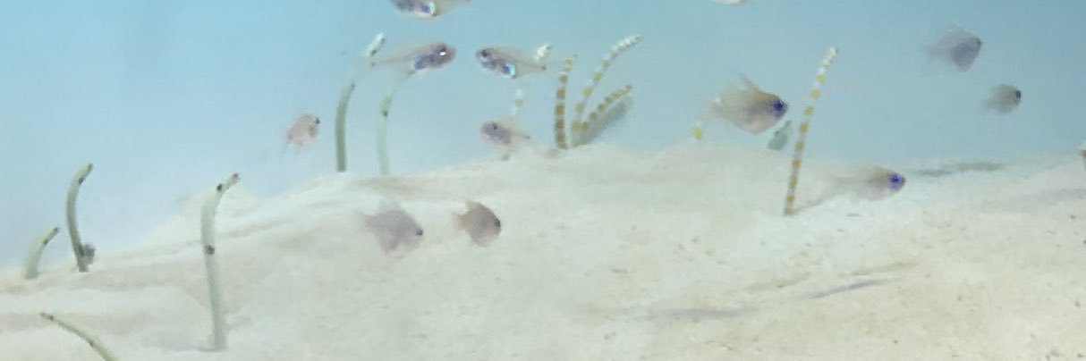 HappyTotoK's profile banner image