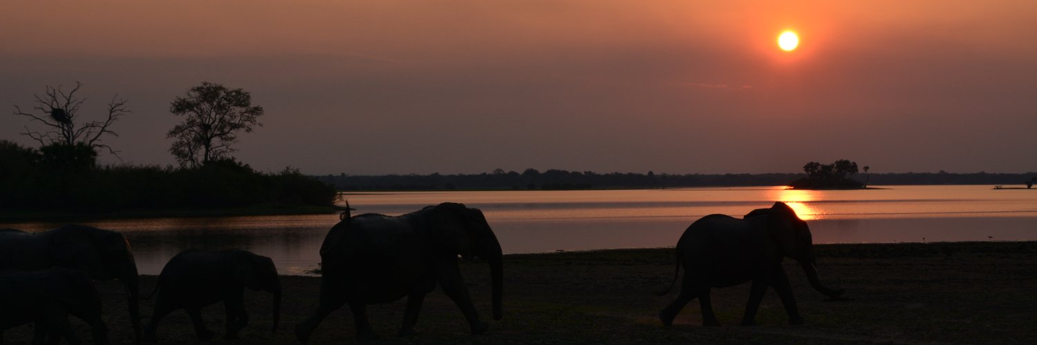 SimonGarrill's profile banner image