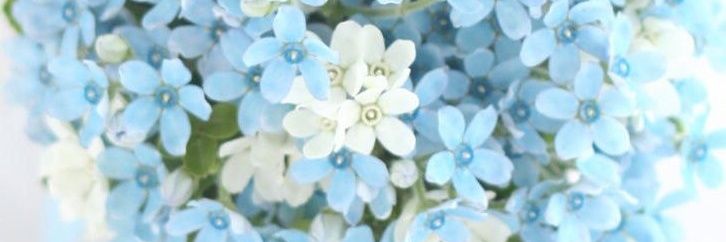_____nk_s's profile banner image