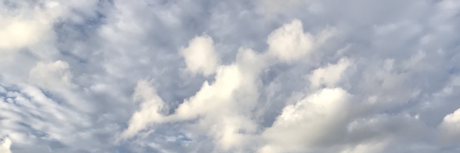 トラ banner