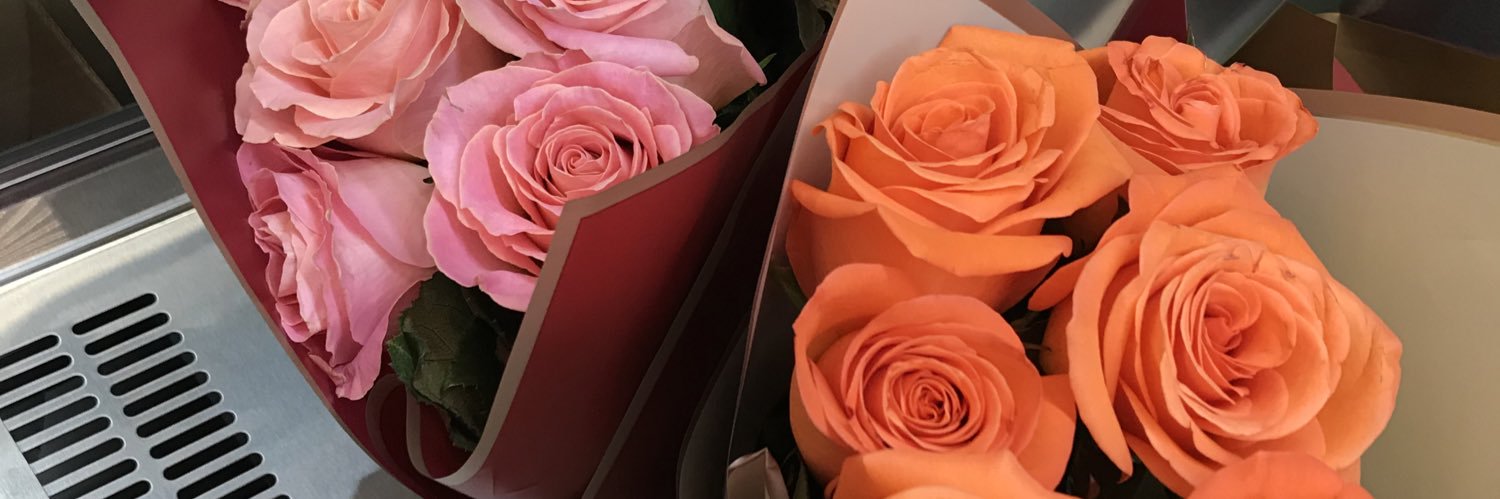 xshnie's profile banner image