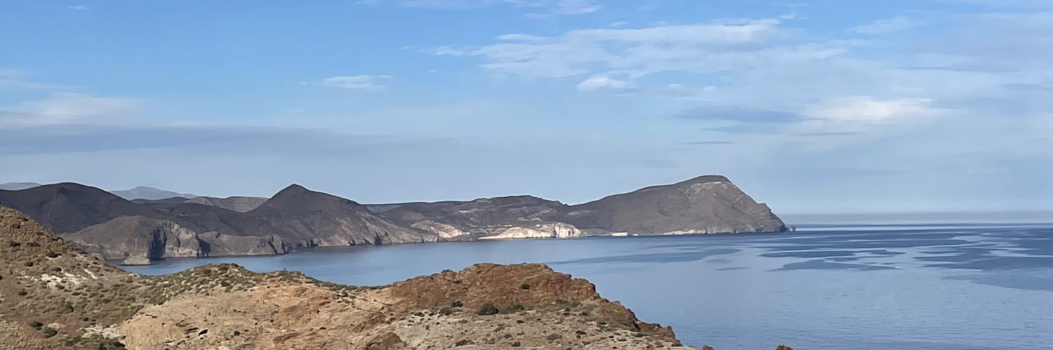 Borealis Lass banner