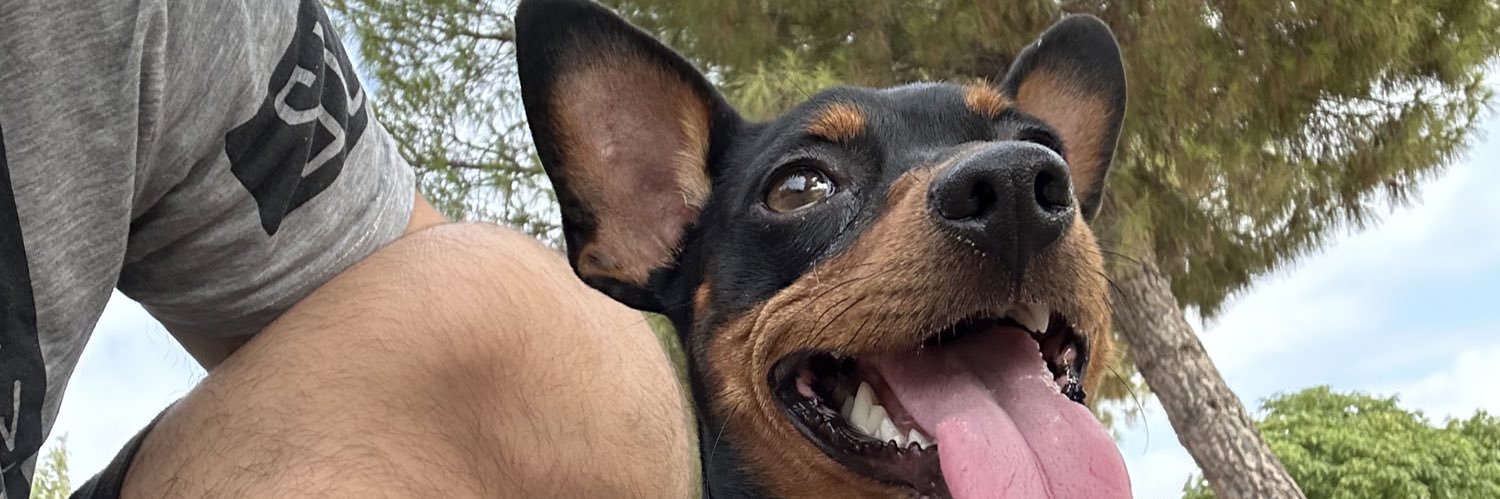 DiegoVM__'s profile banner image