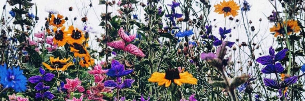 CzelseaXandra's profile banner image