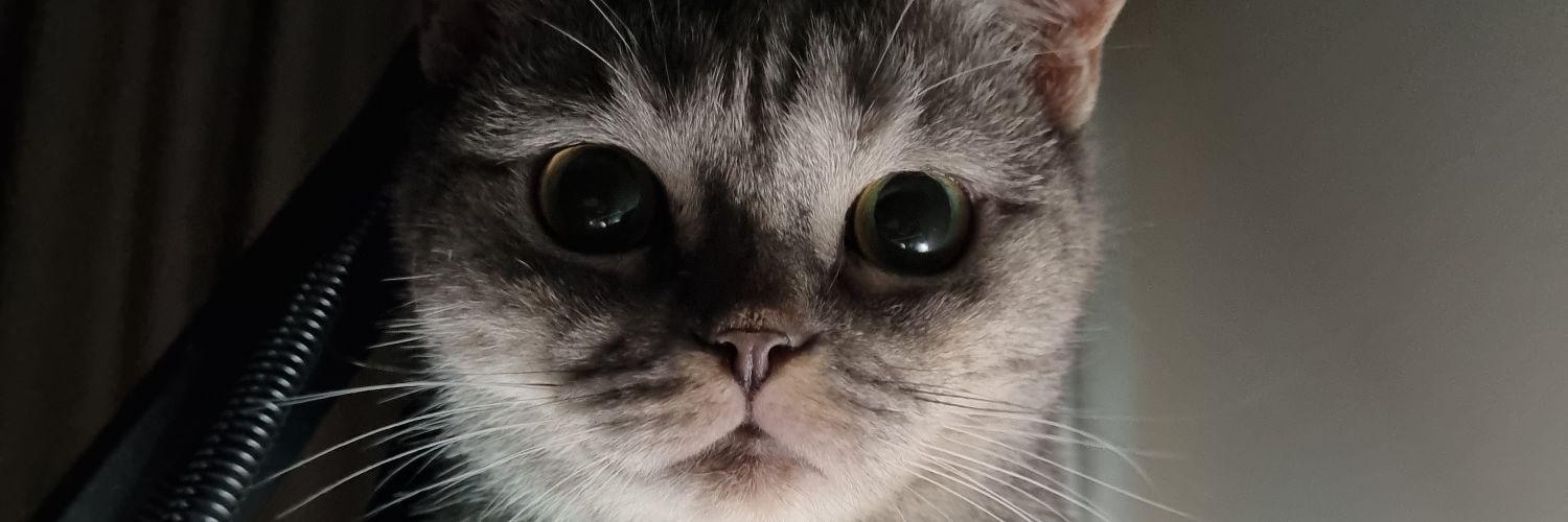 bewy_ja's profile banner image