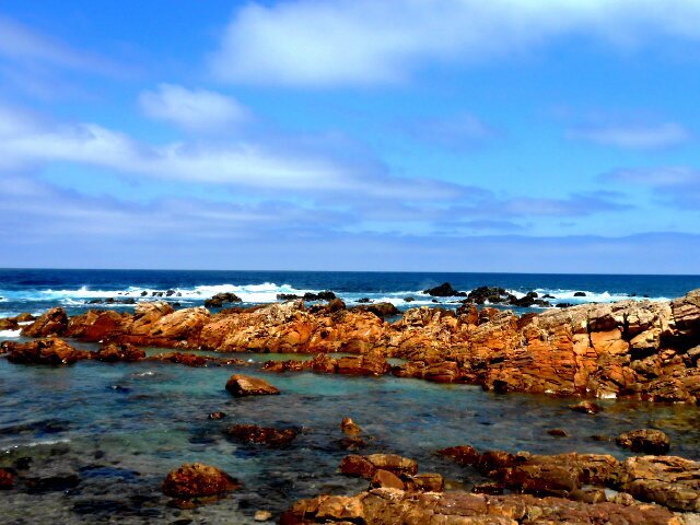 Anja Botha banner
